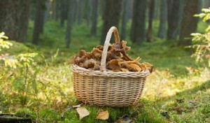 sopplukking_768x450_tcm48-240687